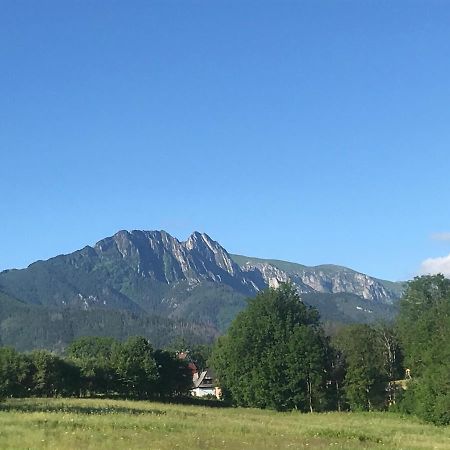 Camping Zakopane Willa Skoczek Oferta Nie Dotyczy Noclegu W Pokoju ,W Namiocie Reczniki Woda Mineralna , Koldra Poduszki Lub Spiwory Екстер'єр фото
