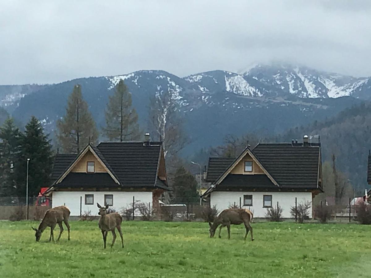 Camping Zakopane Willa Skoczek Oferta Nie Dotyczy Noclegu W Pokoju ,W Namiocie Reczniki Woda Mineralna , Koldra Poduszki Lub Spiwory Екстер'єр фото