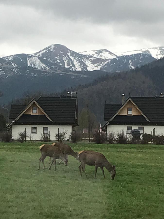 Camping Zakopane Willa Skoczek Oferta Nie Dotyczy Noclegu W Pokoju ,W Namiocie Reczniki Woda Mineralna , Koldra Poduszki Lub Spiwory Екстер'єр фото