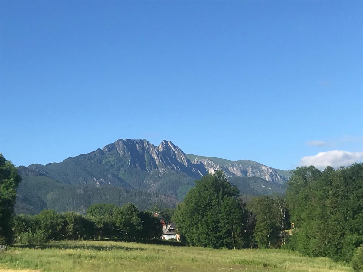 Camping Zakopane Willa Skoczek Oferta Nie Dotyczy Noclegu W Pokoju ,W Namiocie Reczniki Woda Mineralna , Koldra Poduszki Lub Spiwory Екстер'єр фото