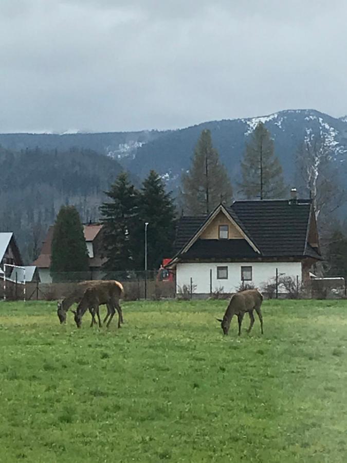 Camping Zakopane Willa Skoczek Oferta Nie Dotyczy Noclegu W Pokoju ,W Namiocie Reczniki Woda Mineralna , Koldra Poduszki Lub Spiwory Екстер'єр фото