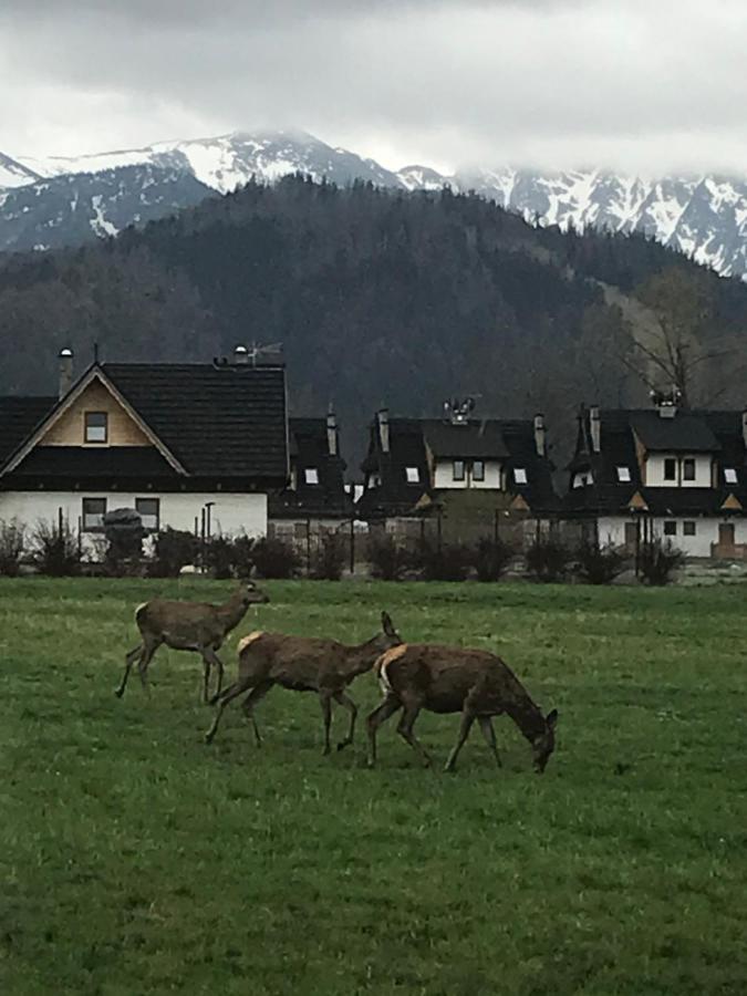 Camping Zakopane Willa Skoczek Oferta Nie Dotyczy Noclegu W Pokoju ,W Namiocie Reczniki Woda Mineralna , Koldra Poduszki Lub Spiwory Екстер'єр фото