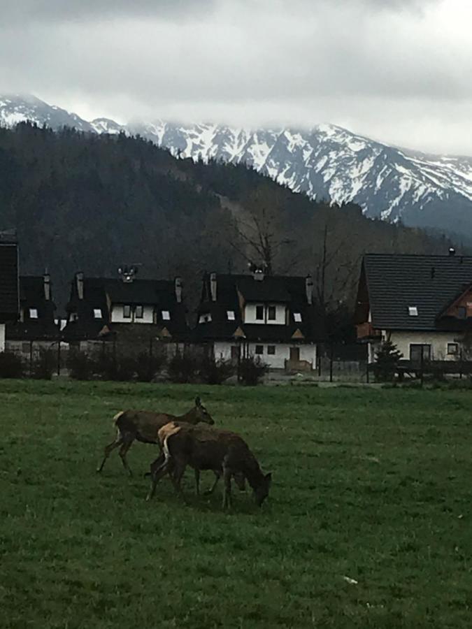 Camping Zakopane Willa Skoczek Oferta Nie Dotyczy Noclegu W Pokoju ,W Namiocie Reczniki Woda Mineralna , Koldra Poduszki Lub Spiwory Екстер'єр фото