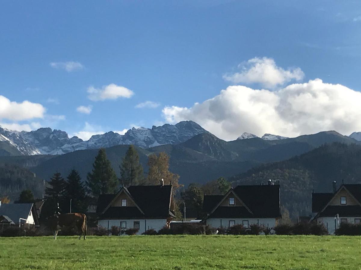 Camping Zakopane Willa Skoczek Oferta Nie Dotyczy Noclegu W Pokoju ,W Namiocie Reczniki Woda Mineralna , Koldra Poduszki Lub Spiwory Екстер'єр фото